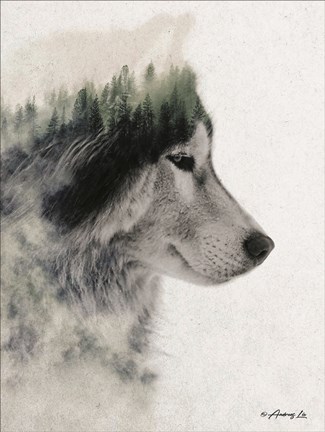 Framed Wolf Stare Print