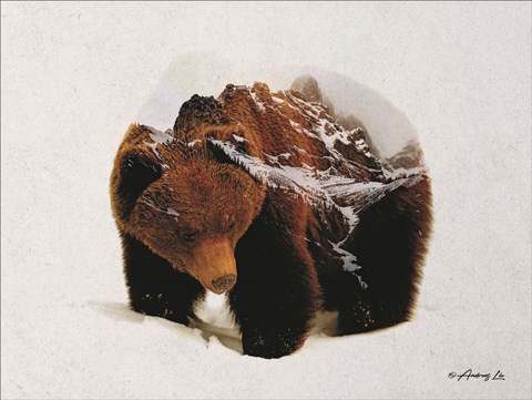 Framed Bear in the Mountains Print