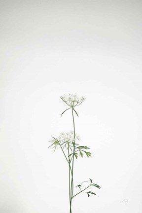 Framed Simple Stems VI Print