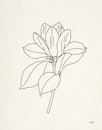 Framed Magnolia Line Drawing Print