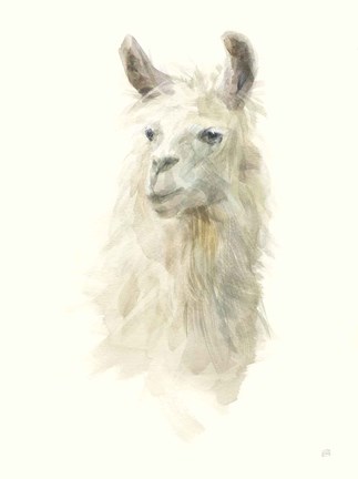 Framed Classic Llamas II Print