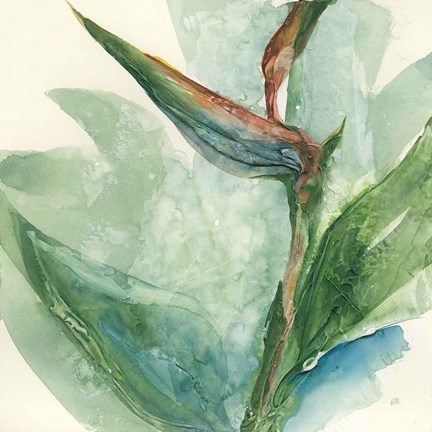 Framed Exotic Flower III Print