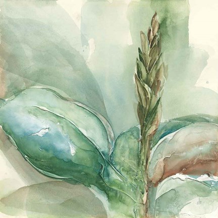 Framed Exotic Flower I Print