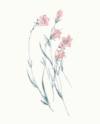 Framed Flowers on White V Contemporary Bright Print