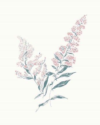 Framed Flowers on White I Contemporary Bright Print