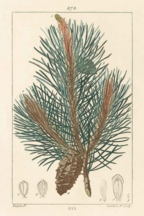 Framed Pin Drawing Print