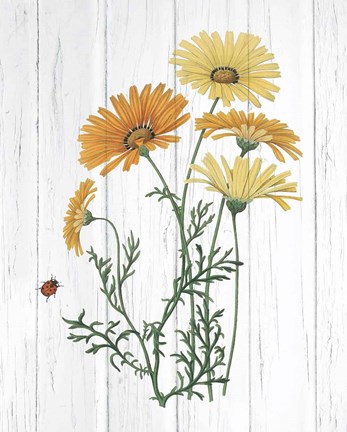 Framed Botanical Bouquet on Wood I Print