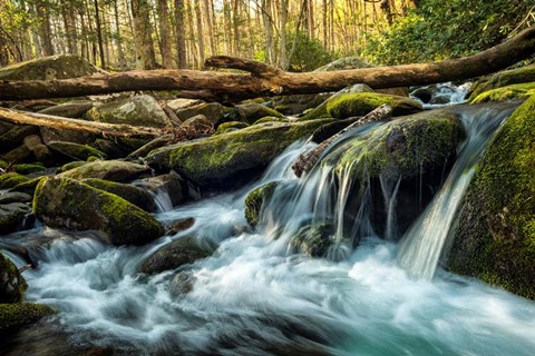 Framed Sticks and Stones Print