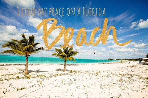 Framed Florida Beach Print