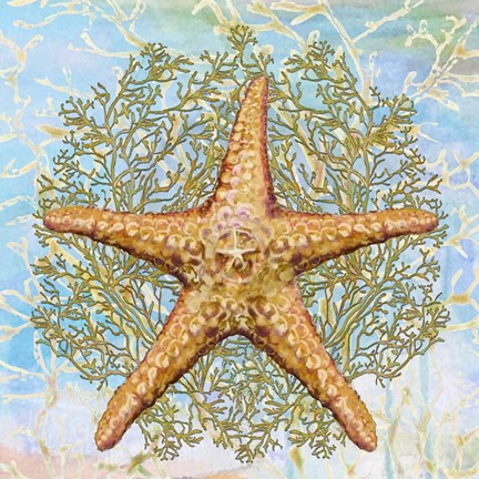 Framed Shell Medley II Print