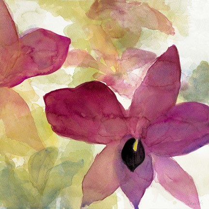 Framed Beautiful and Peace Orchid II Print