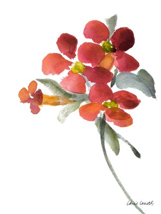 Framed Trumpet Vine Print