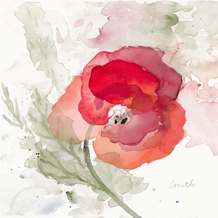 Framed Translucent Poppy II Print