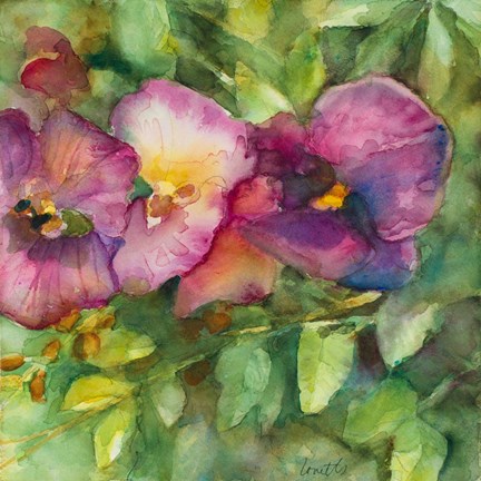 Framed Orchid Garden Print