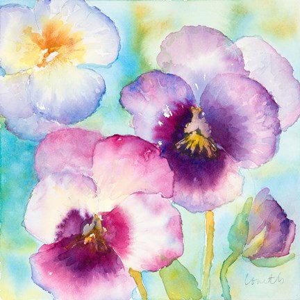 Framed Sunny Side Orchids Print