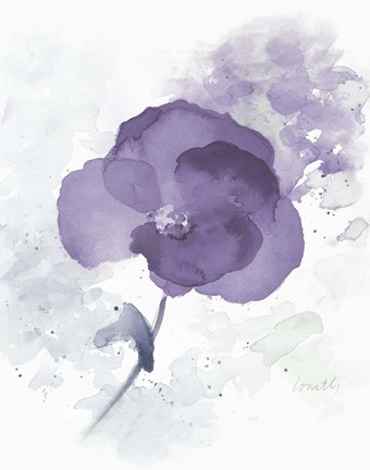 Framed Translucent Mauve Poppy I Print