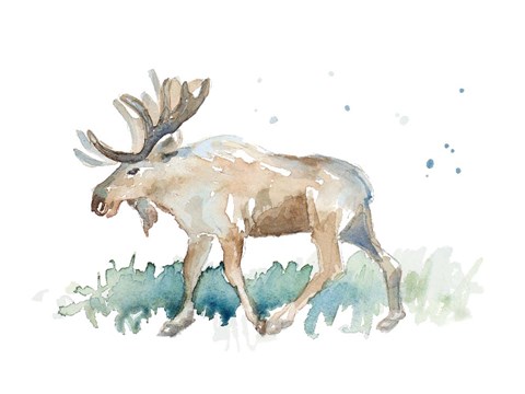 Framed Watercolor Moose Print