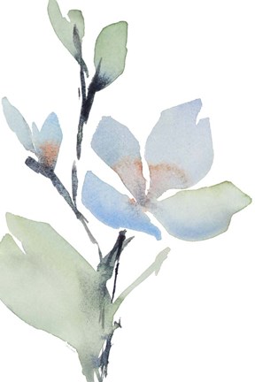 Framed Glowing Blooms II Print