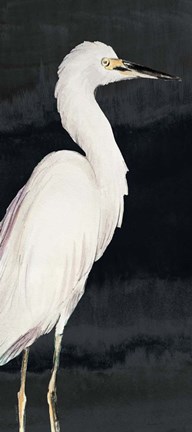 Framed Heron on Black II Print