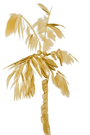 Framed Gold Palms IV Print