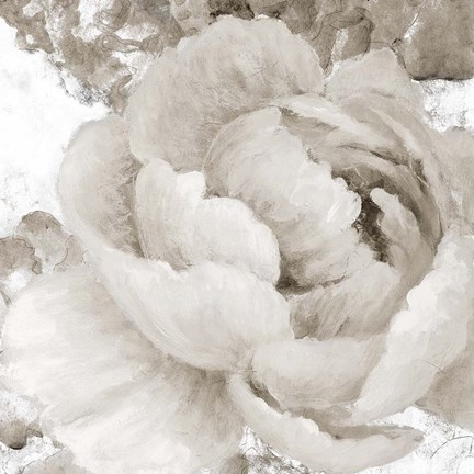 Framed Light Grey Flowers II Print