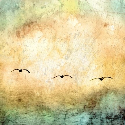 Framed Seagulls in the Sky Square III Print