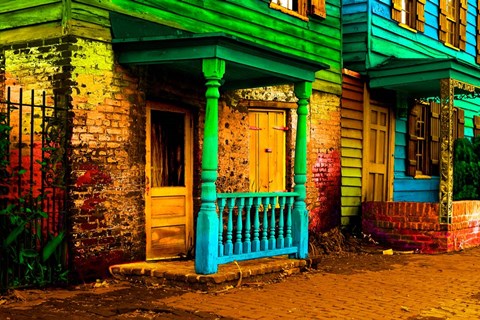 Framed Savannah Print