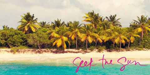 Framed Seek The Sun Print