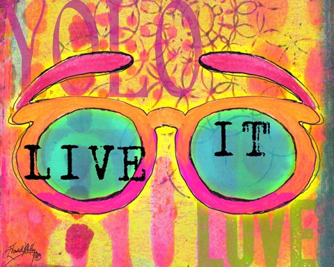 Framed Sunglasses II Print