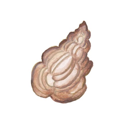 Framed Coastal Icon Coral IX Print