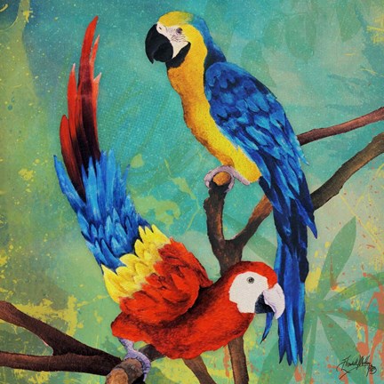 Framed Tropical Birds in Love II Print