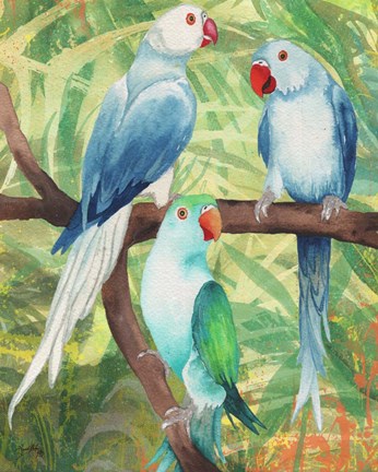 Framed Tropical Birds I Print
