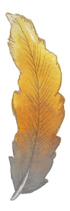 Framed Bohem Feather II Print