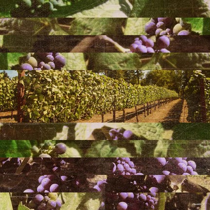 Framed Vinecraft Horizons II Print