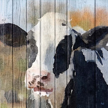 Framed Sweet Daisy I Print