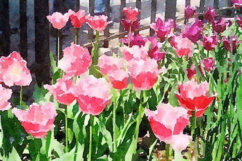 Framed In the Park Print