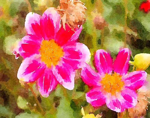 Framed Last Spring I Print