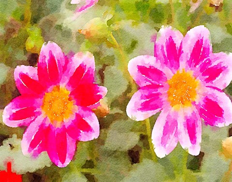 Framed Last Spring II Print