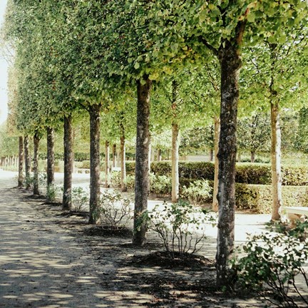 Framed Parisian Stroll I Print