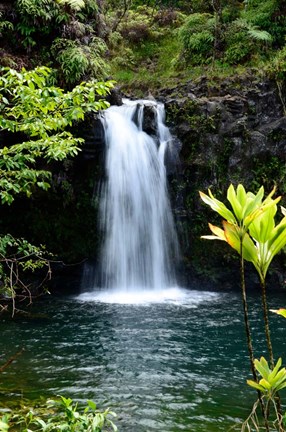 Framed Hide Aways Print