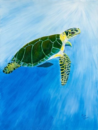 Framed Green Turtle Print