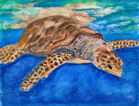 Framed Turtle at Sea Print