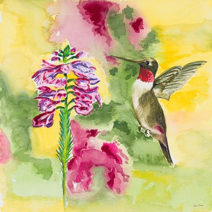 Framed Watercolor Hummingbird Print