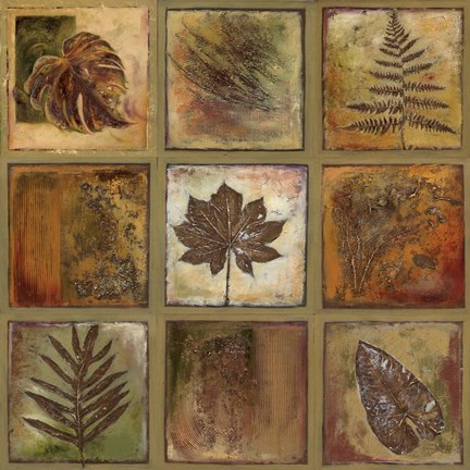 Framed Leaf Square I Print