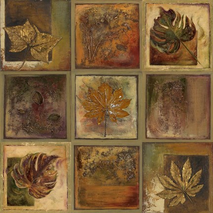 Framed Leaf Square II Print