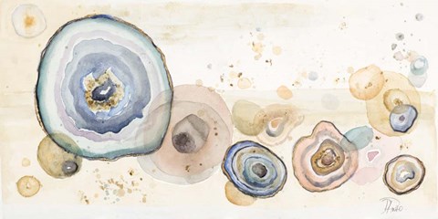 Framed Agates Flying Watercolor Print