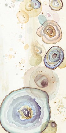Framed Tall Agates Flying Watercolor Print