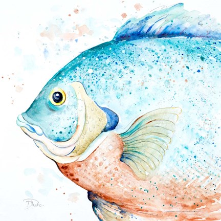 Framed Water Fish Print