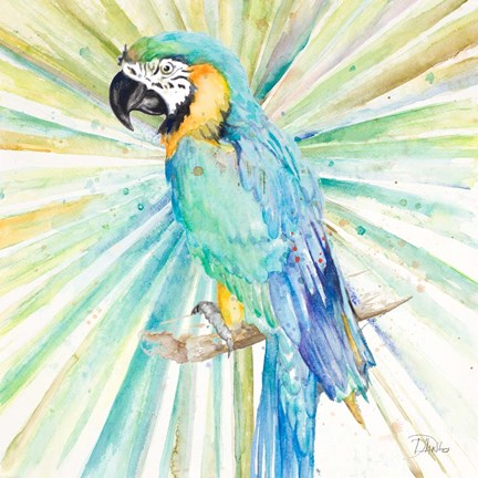 Framed Bright Tropical Parrot Print