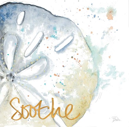 Framed Soothe Water Sand Dollar Print